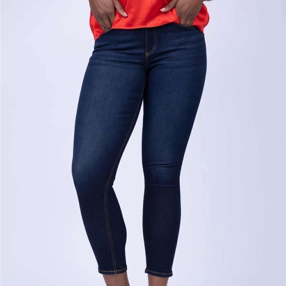 Rag & Bone Cate Mid-Rise Ankle Skinny Jean in Carmen | size 25